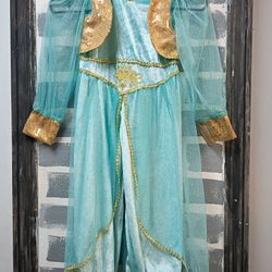 Halloween Costume  Jasmine 5t