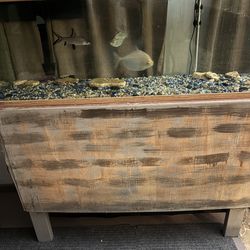 Three large fish included with tank 55 gallon