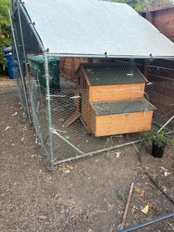 Chicken coop/ or secret garden