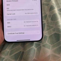 iPhone 15 Pro Max 256 Gb