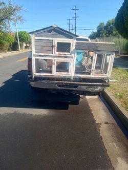 Rabbit Hutch
