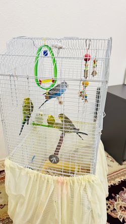Large Bird Cage