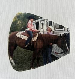 Peel And Stick Bow Tie Patch 