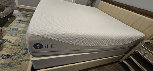 SleepNumber iLE King, 1 yr old