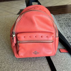 Small Leather Coach Backpack