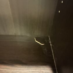 Dark Espresso Bookcase 