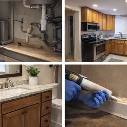 Kitchen & Apartment Roach Prevention Help