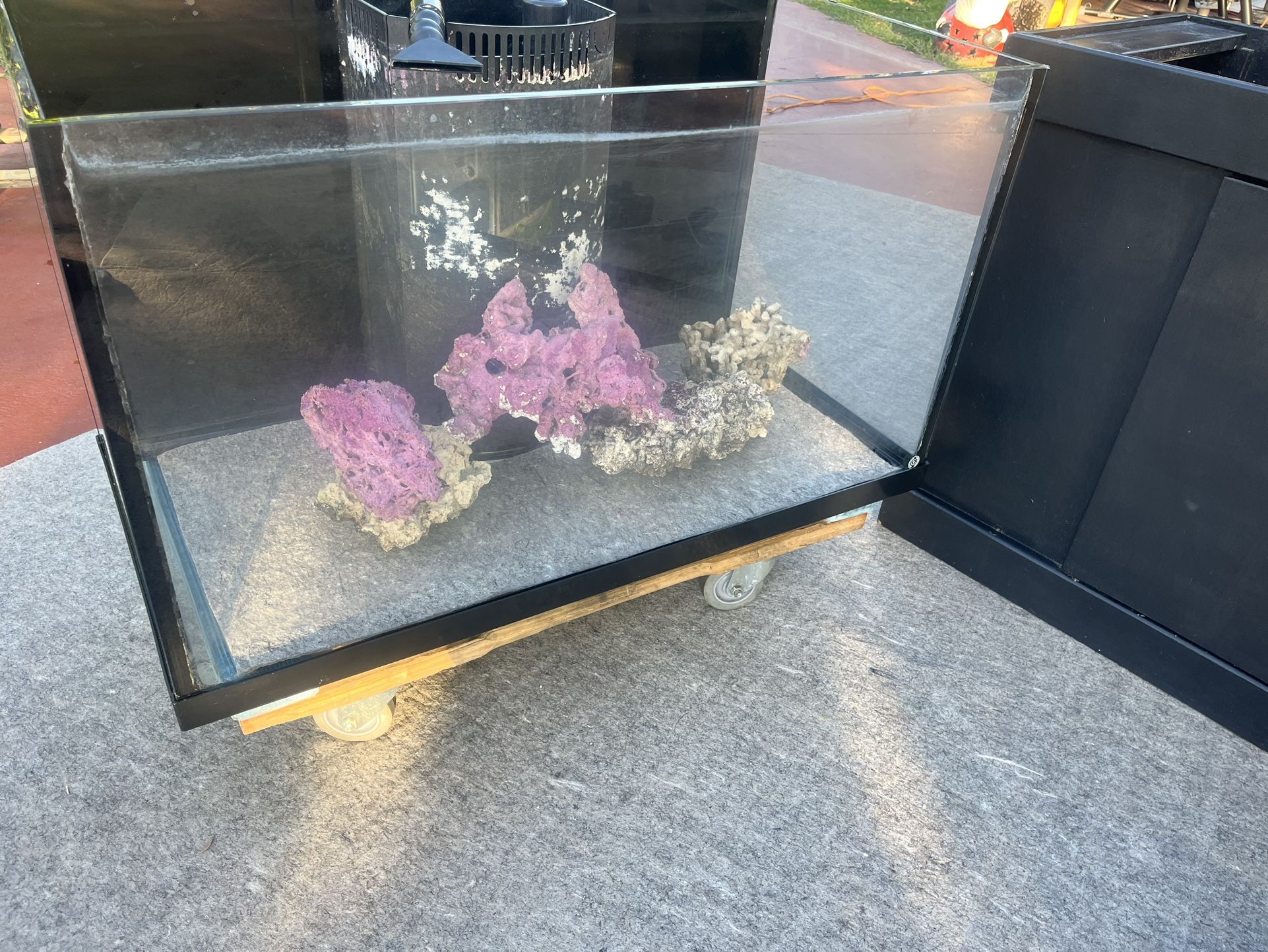 Aquarium Reef Tank Fish Tank