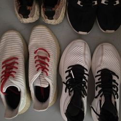 Adidas Shoes 