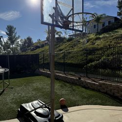 Basketball Hoop 