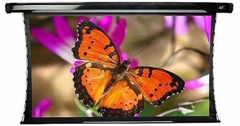 Elite Screens TE120HC2 Cinetension 2 Motorized Projection Screen (58.8 x 104.6")