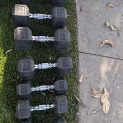 Dumbbells + Bench 