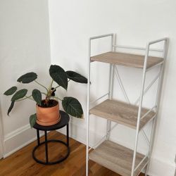 Urban Outfitters Jones bookshelf 