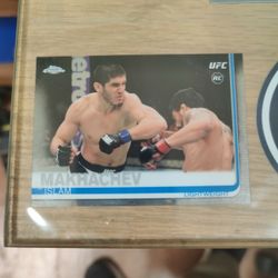Islam Makhachev Rookie