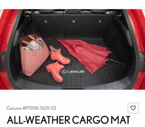All weather cargo Lexus mat