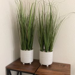 Faux Plants