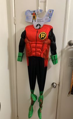 Robin costume Halloween