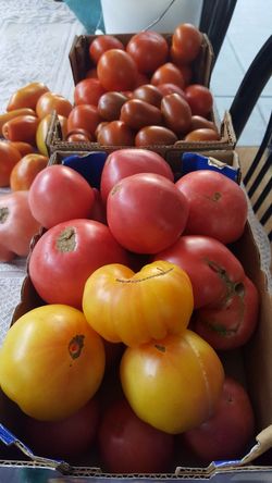Homemade organic tomatoes for $ 4 for Pound.