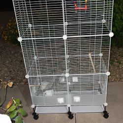 Bird Cage 