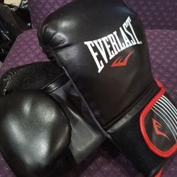 Everlast Core Training Boxing Gloves 