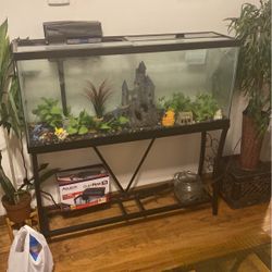 55 Gallon Fish Tank