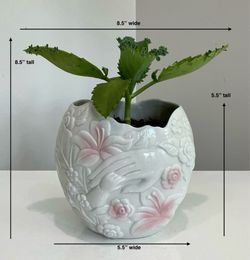 Live Mother-of Thousands Succulent in Vintage 1993 White/Pink Porcelain Mother & Baby’s Hand Planter