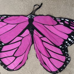 Butterfly Wings