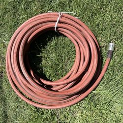 100 Ft Garden Hose