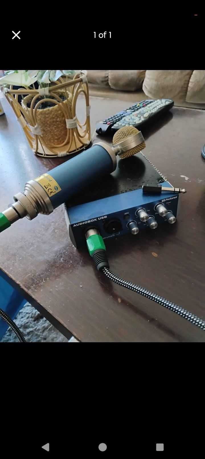 Bluebird Microphone With Interface