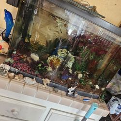 Pesera 40 50 Gallons 