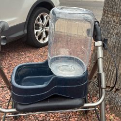 For dogs or cats Hold water