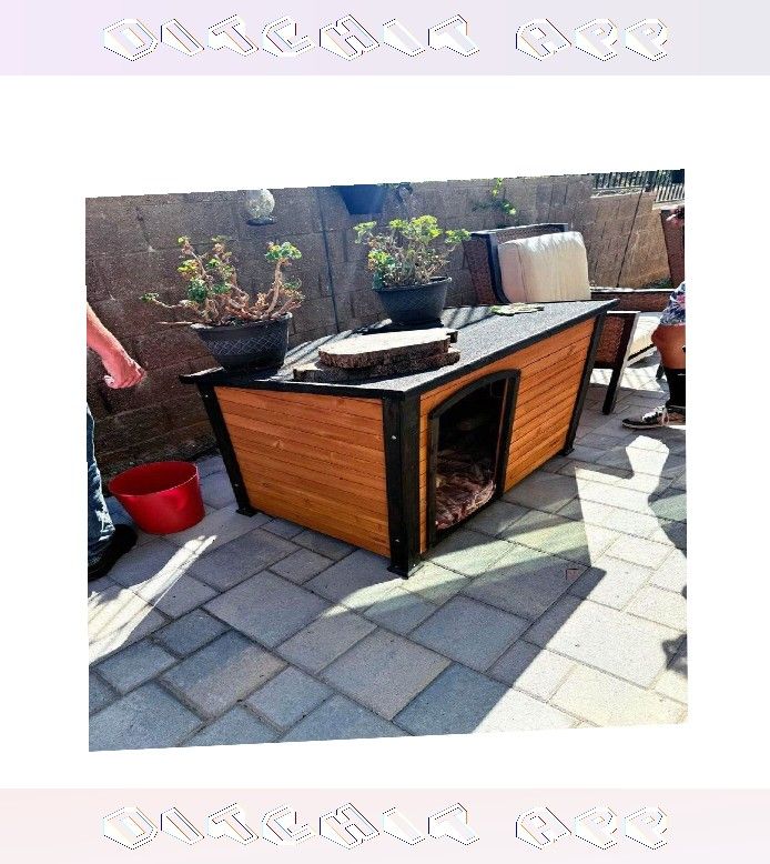 rule common Dog Houses and Kennels - Comfort Mixed with Durability