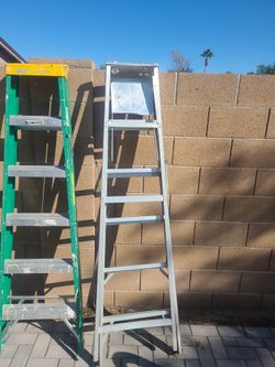 6 Foot Ladder