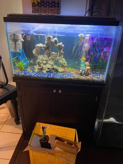 Fish tank & stand with Tons of Accessories
