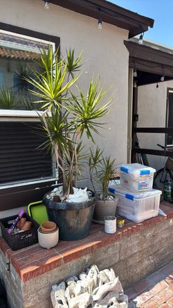 Move out sale