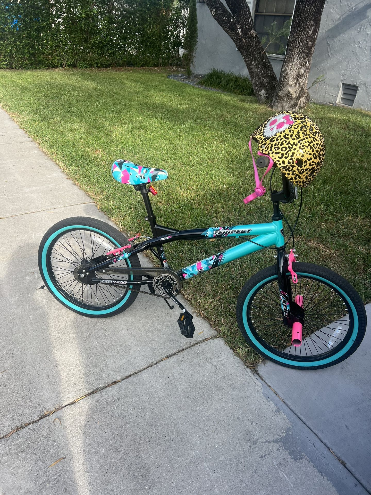 Monster High Bicycle And Helmet