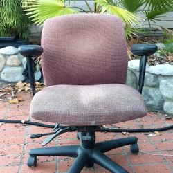 Computer/Office Chair