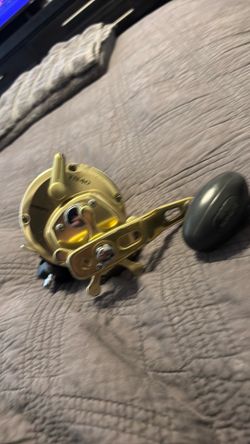 Shimano Trinidad 40 Gold