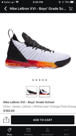 Lebron 16 GS Space travel size 5.5y