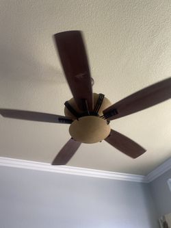 Celing Fan