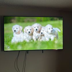 Vizio Smart Tv Black 65”