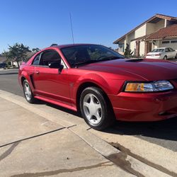 2000 Ford Mustang