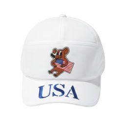 USA x VAA hat