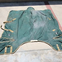 Horse Blanket 