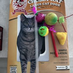 Cat Door 