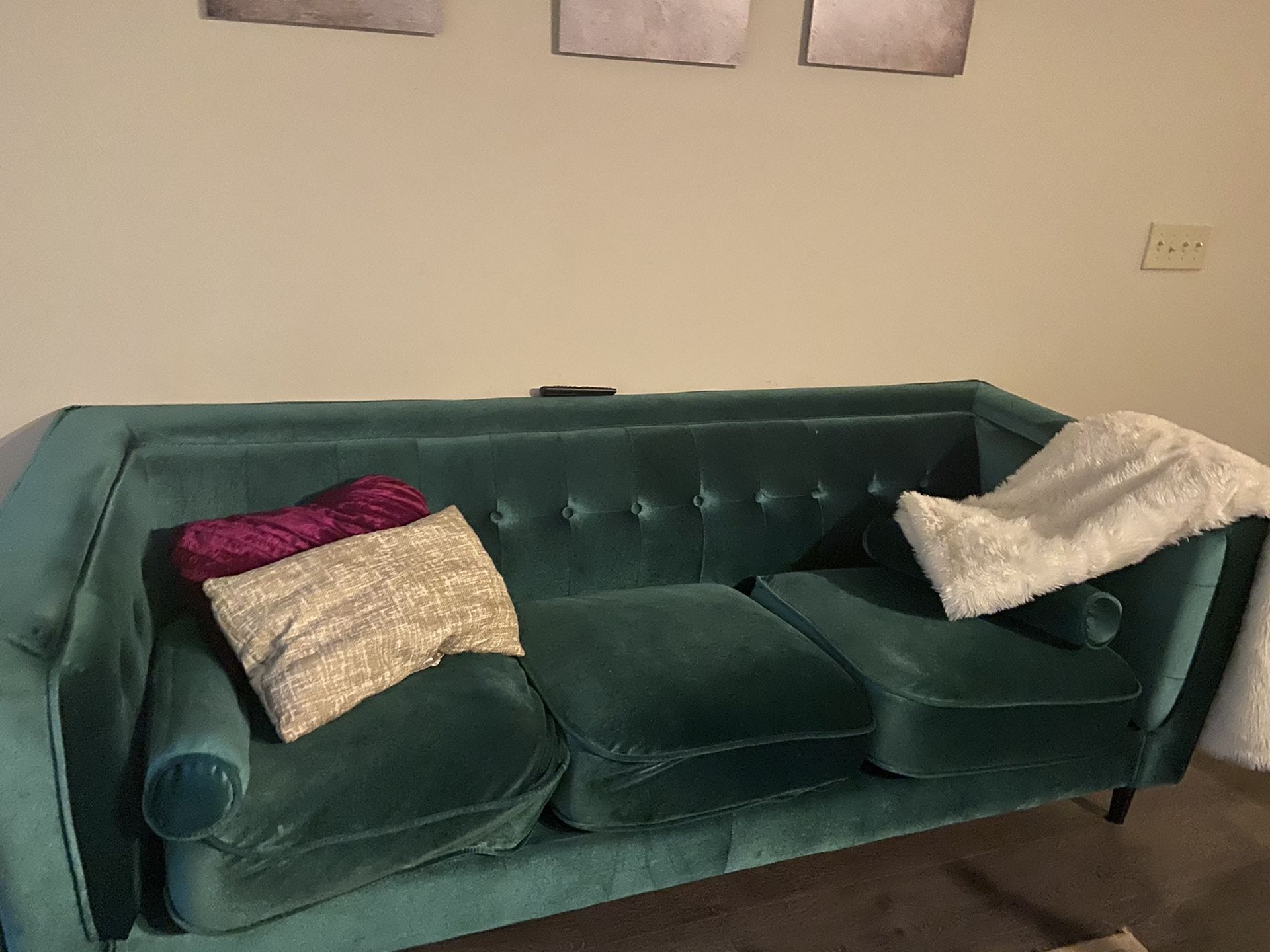 Velvet Green Couch