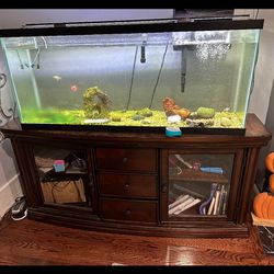 Fish Tank With Accessories And Few Fish