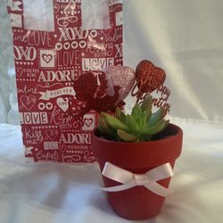 Valentines Succulents And /or Candles.,