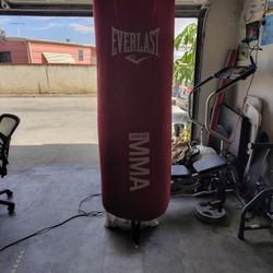 Everlast MMA Punching Bag