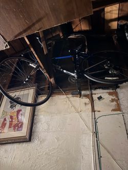 Track bike